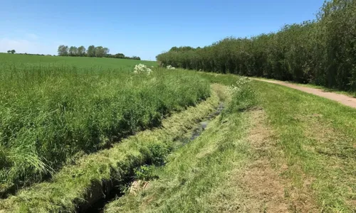 Regnvandsprojekt ved Brorenden, Otterup