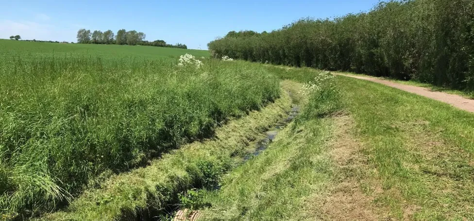 Sti langs smalt vandløb og grønne marker, Brorenden i Otterup