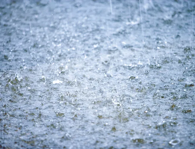 Nærbillede af piskende regn