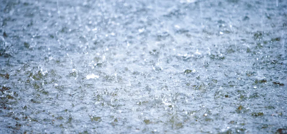 Nærbillede af piskende regn