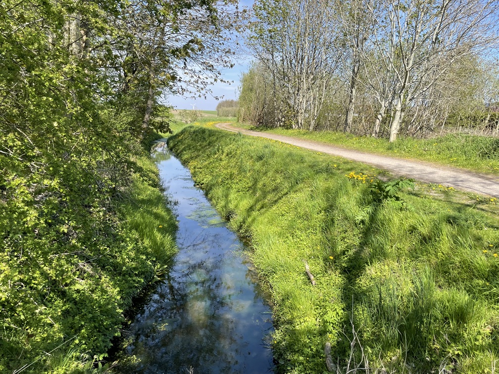 Vandløbet Brorenden der løber gennem Otterup
