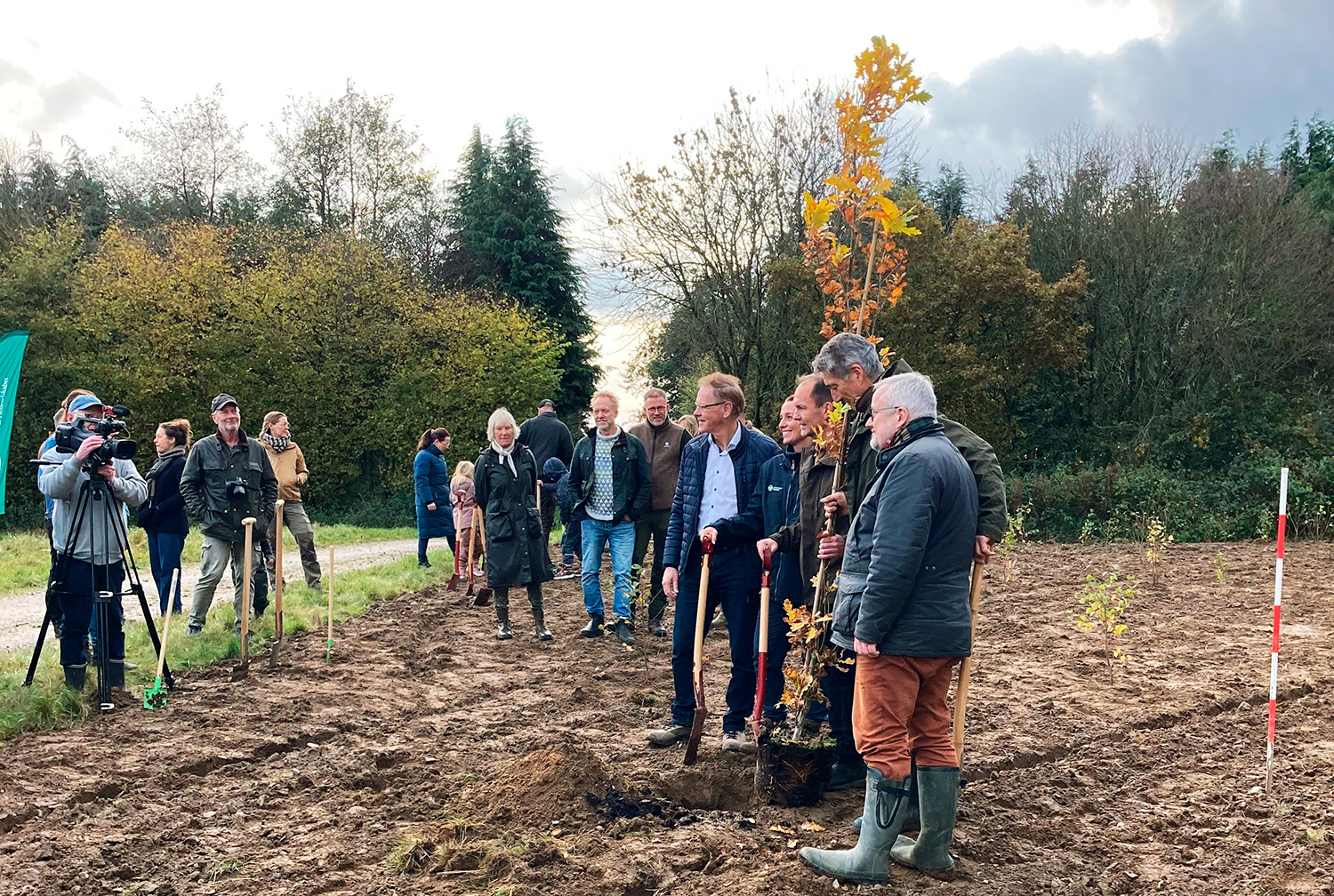 Danmark plantede træer i Holmehave