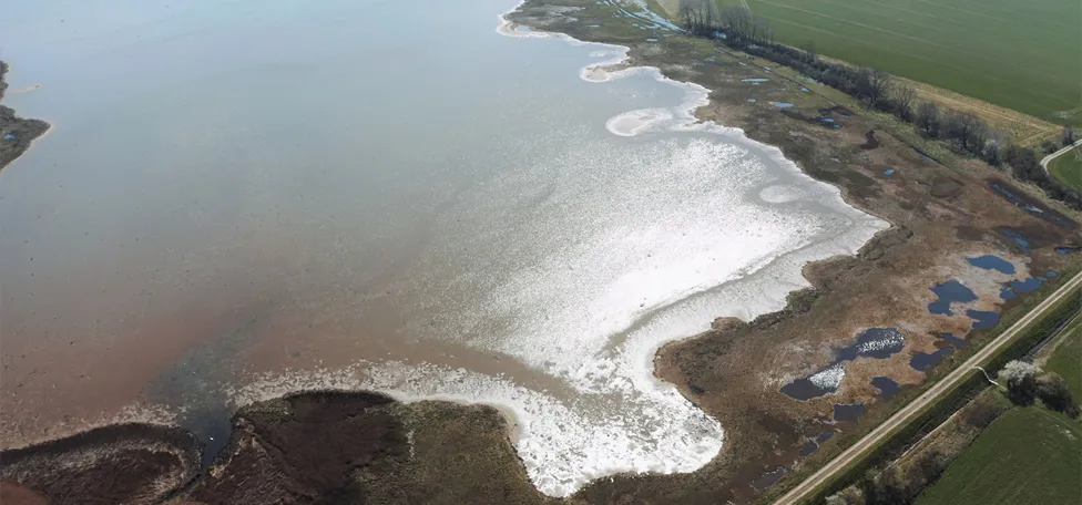 Odense Fjord, April 2023