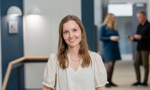 Intern karriereudvikling