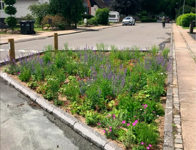 Regnbed på villavej