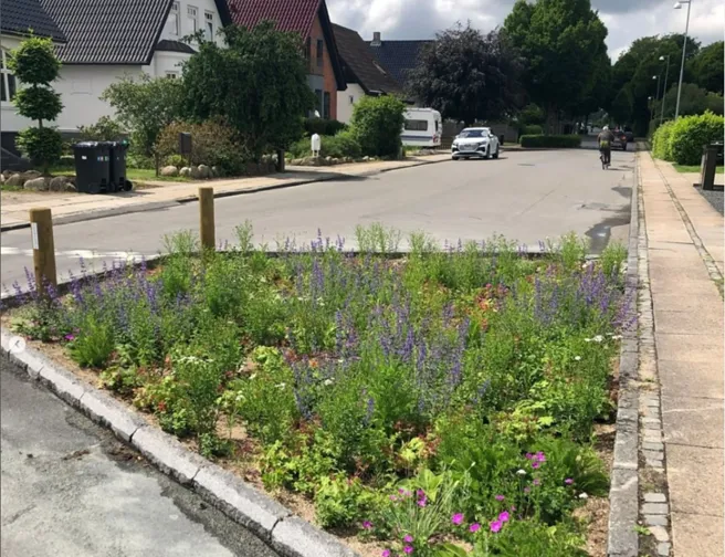 Regnbed på villavej