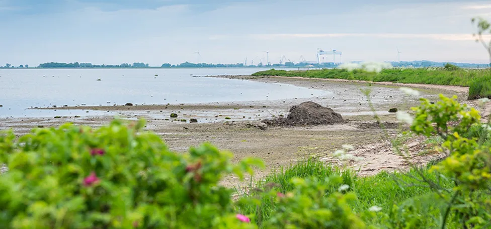 Odense Fjord