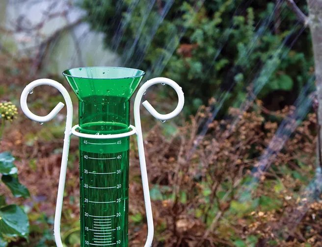 Nærbillede af grøn regnmåler i regnvejr