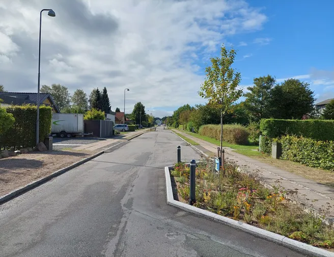 Villavej med grønt regnbed og fartdæmpning