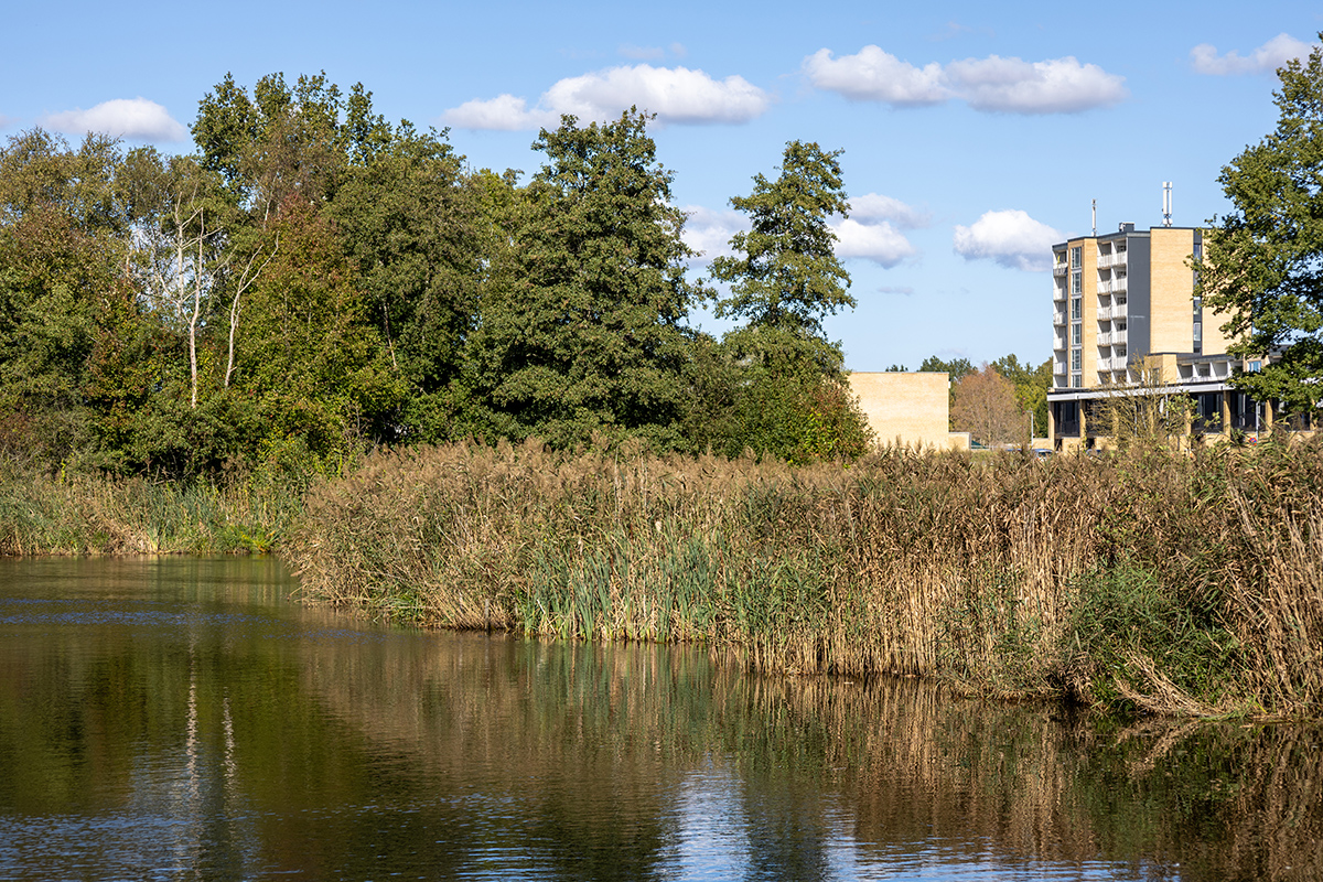 Vi tager hånd om vandet i Vollsmose