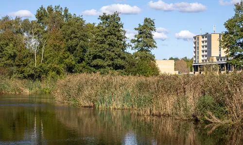 Vi tager hånd om vandet i Vollsmose