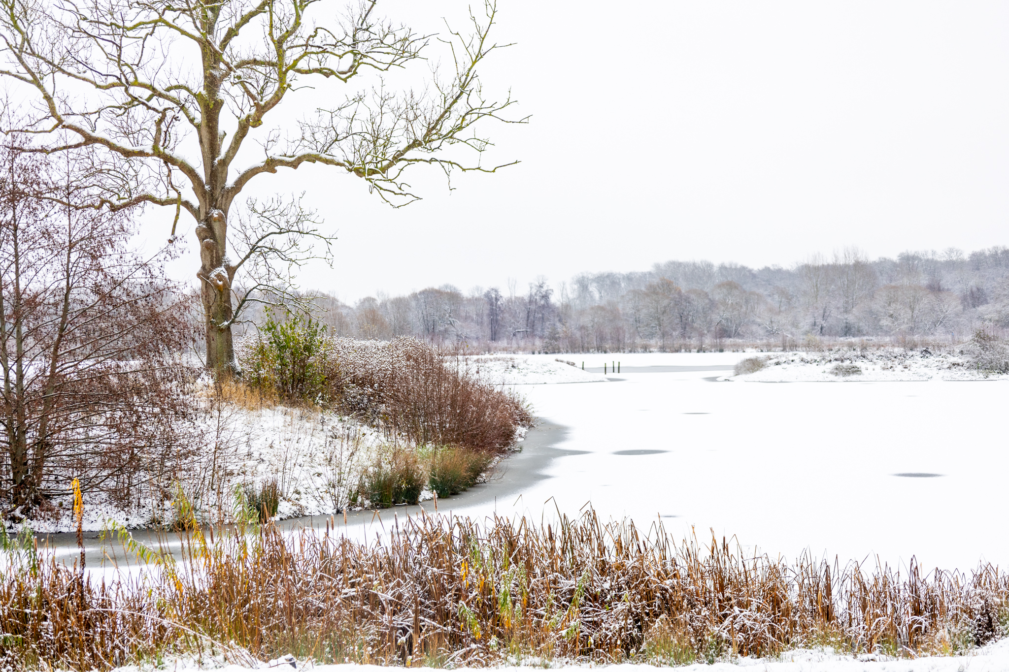 Vi holder lukket mellem jul og nytår