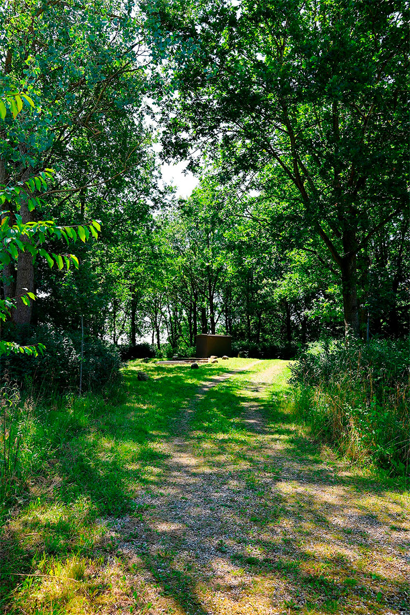 Borehus i Brylle Vandskov