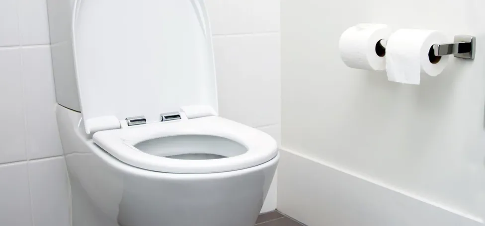 toilet
