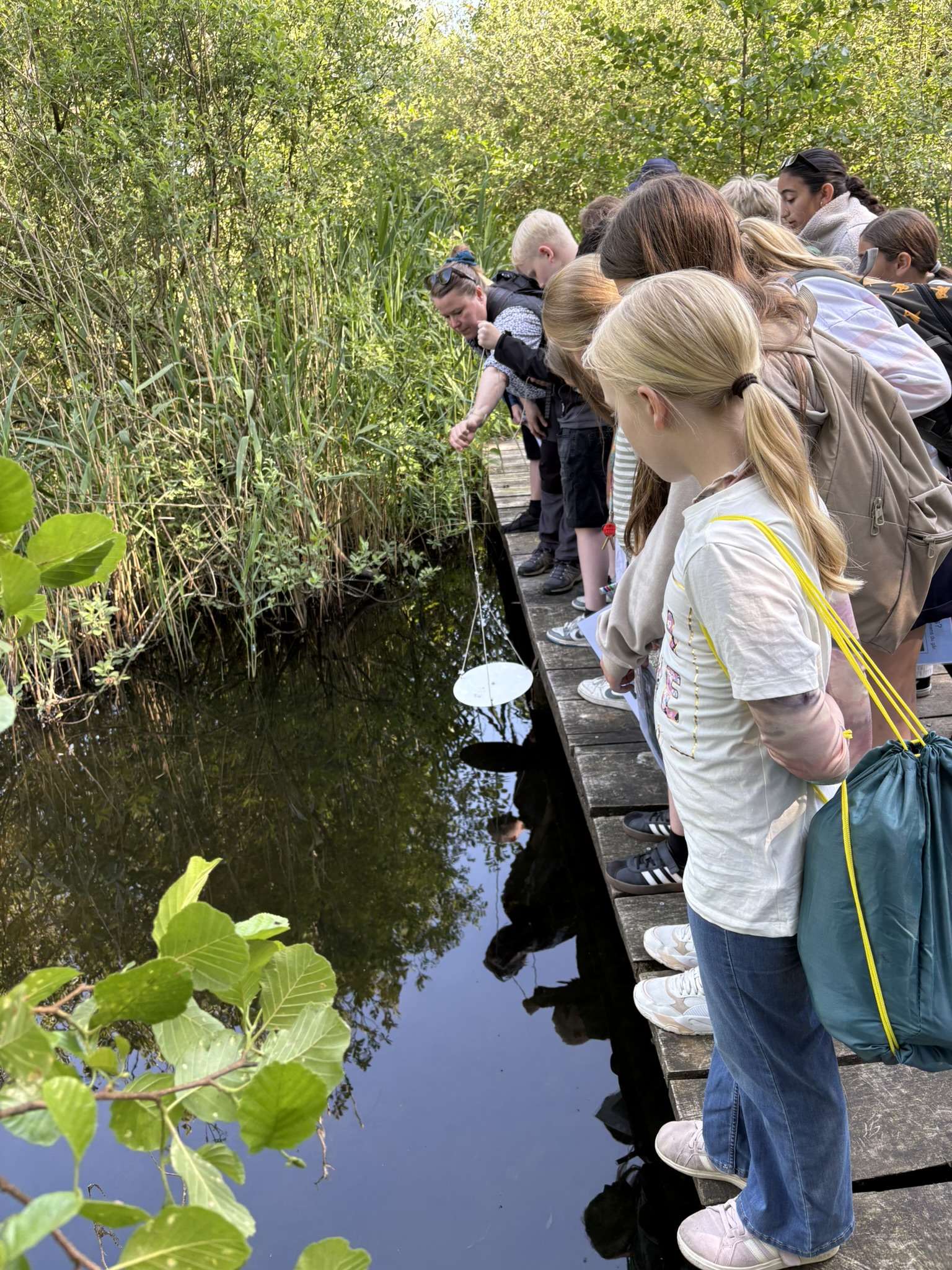 En fjerdeklasse på tur i Vollsmoses natur