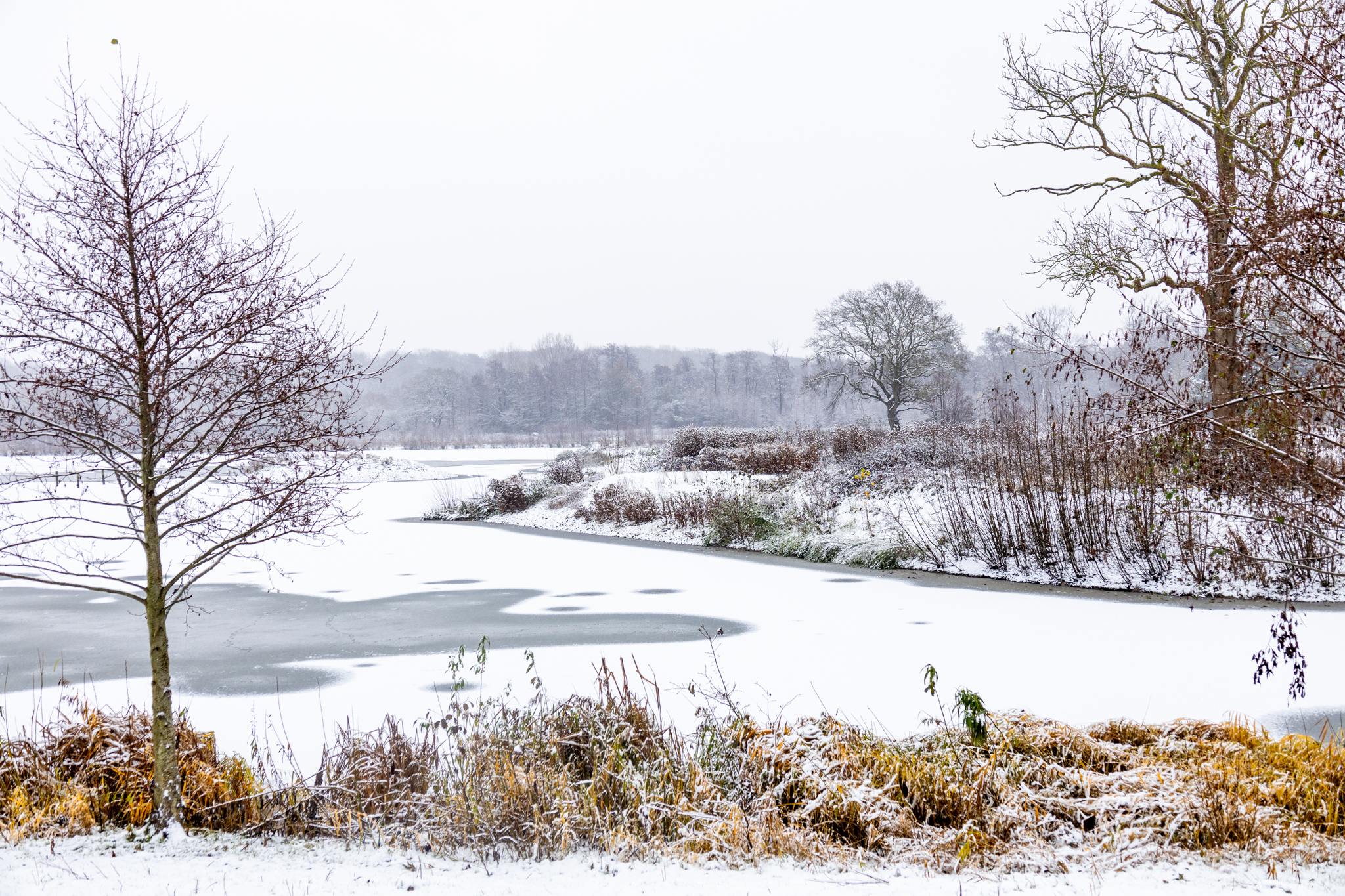 Glisholm Sø i snevejr