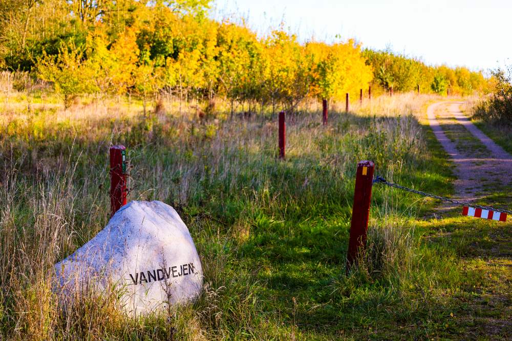 Planlæg din skovtur