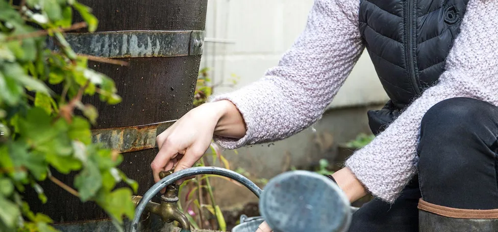 Kvinde fylder vandkande med vand fra regnvandstønde
